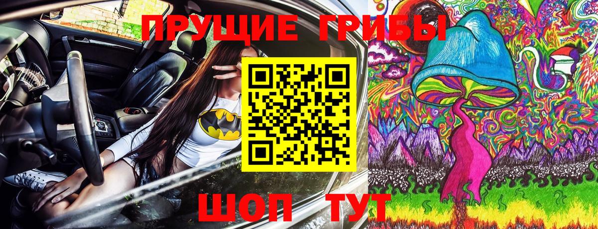 Псилоцибиновые грибы Psilocybine cubensis Елец